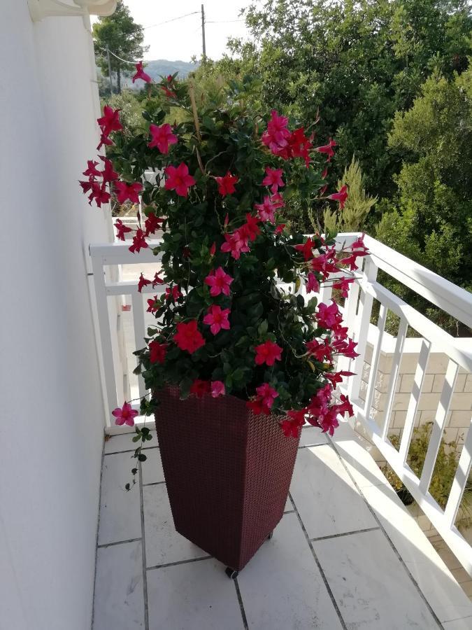 Apartments Ivona Λομπάρδα Εξωτερικό φωτογραφία